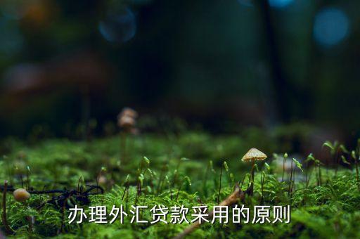 貸款三查指什么，銀行貸款三查不嚴(yán)能使貸款合同無(wú)效嗎