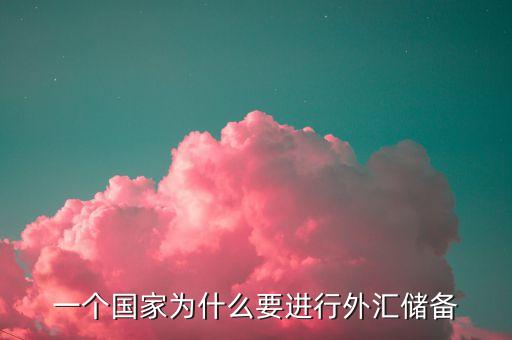 一個國家為什么要進行外匯儲備
