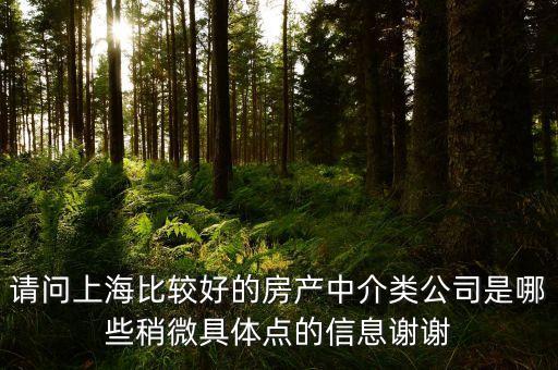 請問上海比較好的房產(chǎn)中介類公司是哪些稍微具體點(diǎn)的信息謝謝