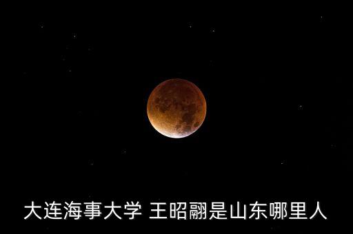 大連海事大學(xué) 王昭翮是山東哪里人