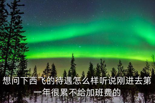 想問下西飛的待遇怎么樣聽說剛進去第一年很累不給加班費的