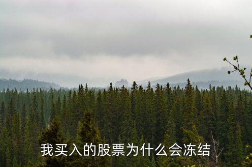 我買入的股票為什么會凍結(jié)