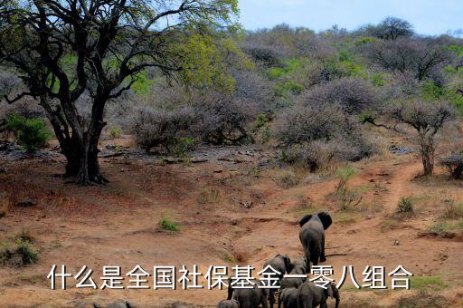 什么是全國(guó)社?；鹨涣惆私M合