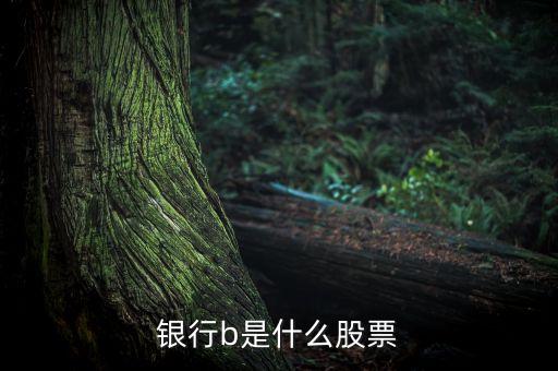 銀行b是什么股票交易，銀行b是什么股票