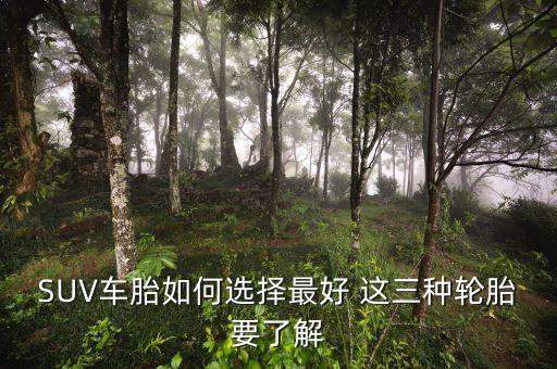 suv配什么輪胎，SUV車胎如何選擇最好 這三種輪胎要了解
