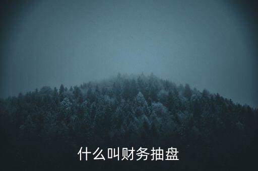 什么叫財(cái)務(wù)抽盤