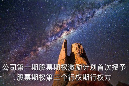 自主行權(quán)什么意思，公司第一期股票期權(quán)激勵計劃首次授予股票期權(quán)第三個行權(quán)期行權(quán)方