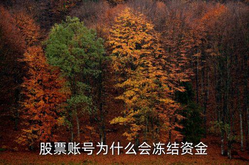 股票賬號為什么會凍結(jié)資金