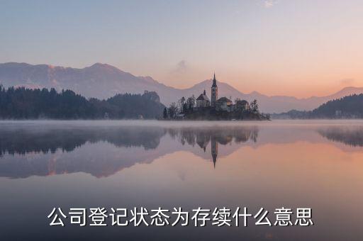 公司存續(xù)是什么意思，企業(yè)經(jīng)營(yíng)狀態(tài) 存續(xù) 是什么意思