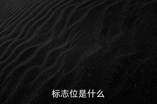 投標(biāo)標(biāo)位是什么意思，投標(biāo)的標(biāo)項(xiàng)是什么