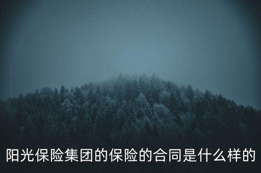 保險(xiǎn)合同是什么樣，買(mǎi)中國(guó)太平保險(xiǎn)的合同書(shū)是什么樣的