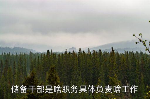 儲備干部是啥職務具體負責啥工作