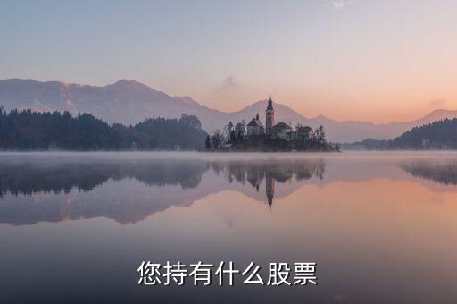 樊淑珍持有什么股，香港中央代理人持有哪些股票