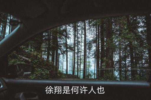 徐翔有什么背景，徐翔是何許人也