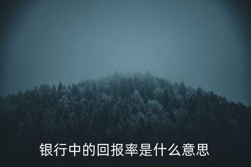 什么是銀行貸款回報，去銀行做回報是指