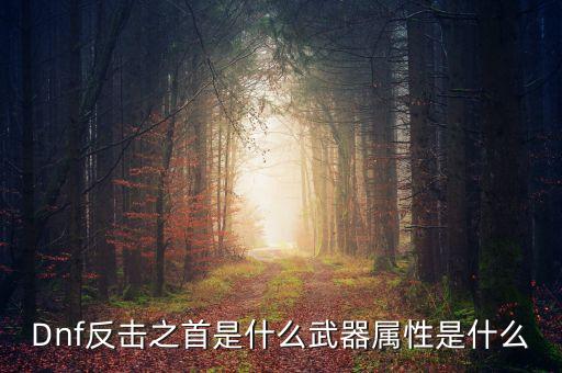 反攻劍是什么，紅眼的偷師真空劍和背后反擊是啥知道的說下SB別來