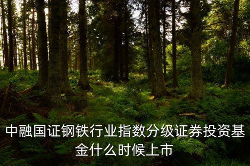 001719基金什么時候發(fā)行，嘉實成長增強001759的發(fā)行期是什么時候求介紹
