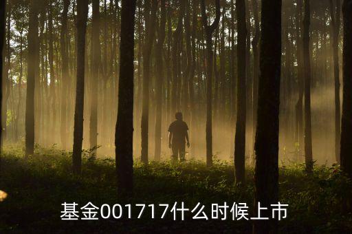 基金001717什么時候上市