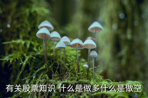 有關(guān)股票知識(shí) 什么是做多什么是做空