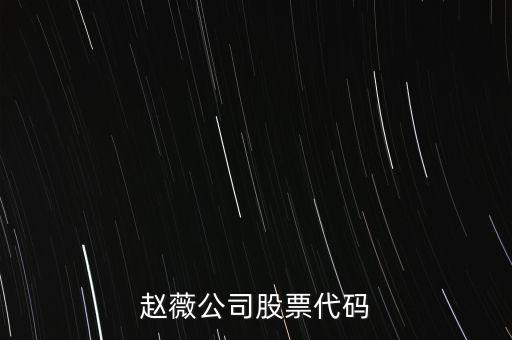 趙薇買的什么股票代碼，范冰冰 趙薇 股票5億買的什么股票