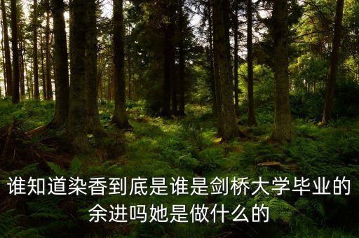 麥肯錫合伙人是什么，誰知道染香到底是誰是劍橋大學(xué)畢業(yè)的余進嗎她是做什么的