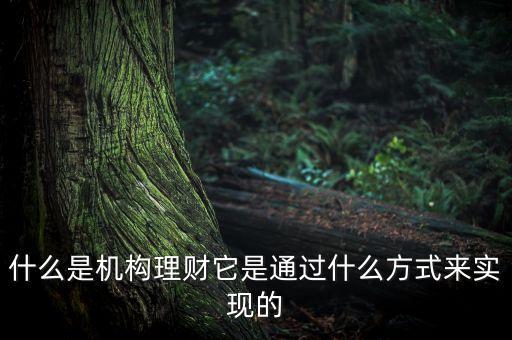什么是機構(gòu)理財，什么是第三方的理財機構(gòu)