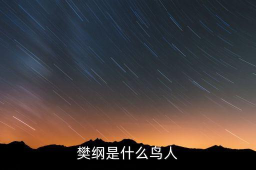 樊綱是什么鳥人，那些唱歌的明星是什么鳥人他門有什么用嗎