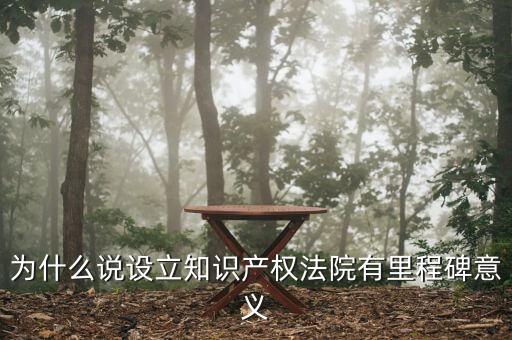 為什么要設(shè)立知識(shí)產(chǎn)權(quán)法院，成立知識(shí)產(chǎn)權(quán)法院有哪些好處