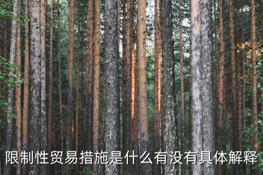 什么是貿(mào)易限制，什么是限制貿(mào)易