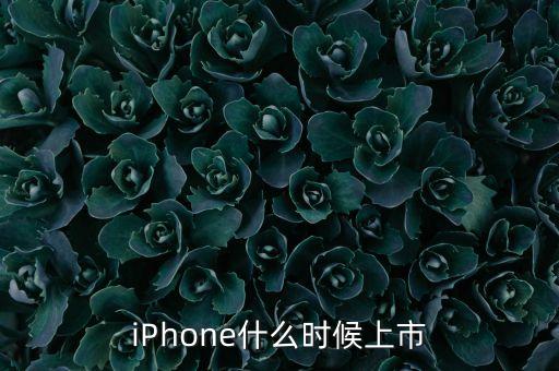 ipo預計什么時候，iPhone什么時候上市