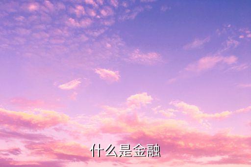 什么是金融