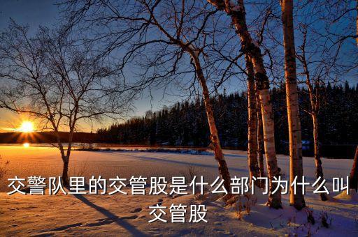 交警隊(duì)里的交管股是什么部門(mén)為什么叫交管股