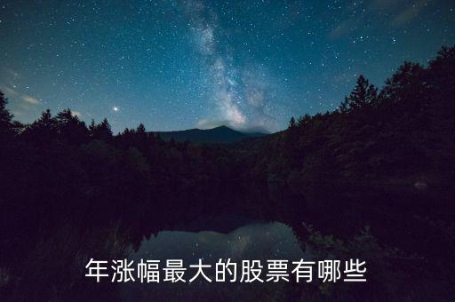 什么股票十年漲幅最大，到目前為止2010年內(nèi)累計漲幅最大的是哪只股票