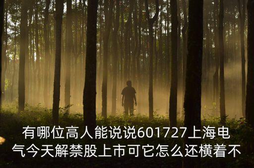 601727上海電氣為什么停牌，上海電氣股票今天怎么不漲