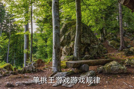 單挑王游戲機為什么能包賺不賠，單挑王游戲游戲規(guī)律