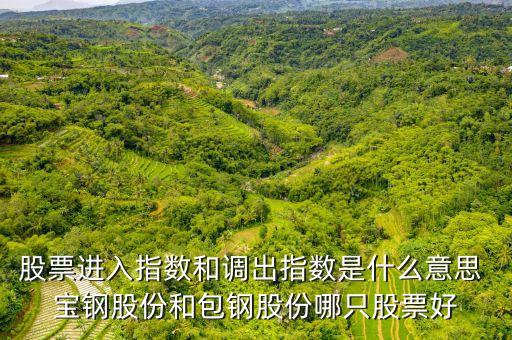 股票進入指數(shù)和調(diào)出指數(shù)是什么意思 寶鋼股份和包鋼股份哪只股票好