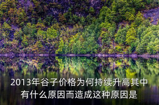 2013年谷子價格為何持續(xù)升高其中有什么原因而造成這種原因是