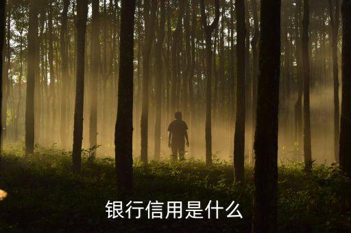 銀行信用是什么