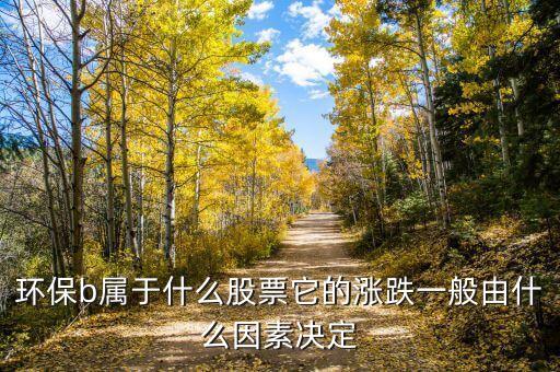 環(huán)保b是什么，環(huán)保b屬于什么股票它的漲跌一般由什么因素決定