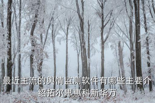拓爾思和天璣科技主要做什么，天璣股票計劃是哪個公司推出的是做什么的