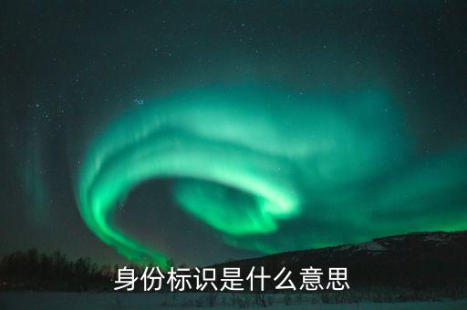 身份標(biāo)識是什么意思