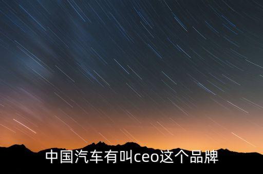 中國汽車有叫ceo這個品牌
