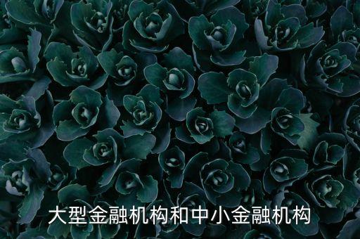什么是中小金融機(jī)構(gòu)，大型金融機(jī)構(gòu)和中小金融機(jī)構(gòu)