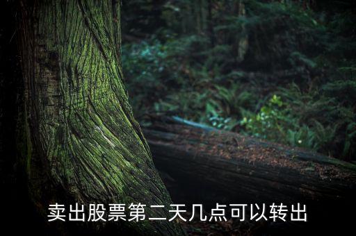 股票賣了錢什么時候可以轉出，股票成功賣出后多長時間可以從帳戶轉出資金