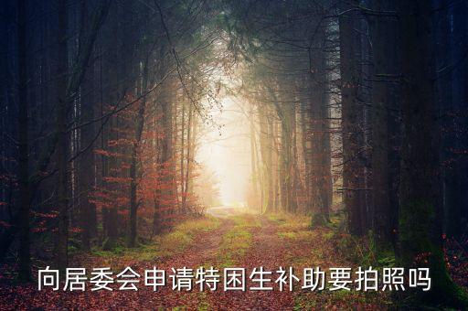 向居委會(huì)申請(qǐng)?zhí)乩a(bǔ)助要拍照嗎
