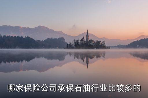 石油公司買什么保險，哪家保險公司承保石油行業(yè)比較多的