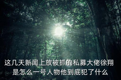 這幾天新聞上放被抓的私募大佬徐翔 是怎么一號人物他到底犯了什么