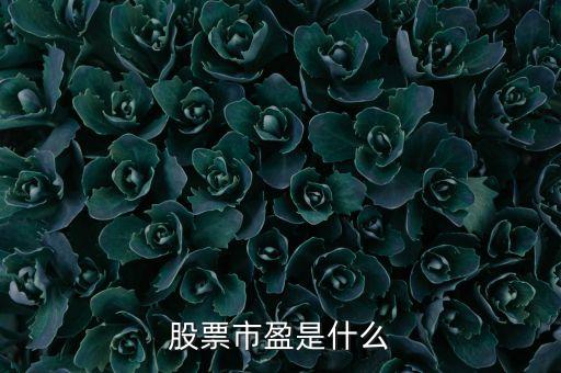 股票市盈是什么
