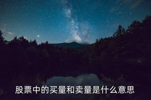 股票買量是什么意思，股市買量賣量是什么意