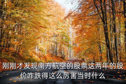 南航美股是什么意識(shí)，海南航空股票前帶lr300什么意思